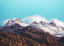 开云下载-辽宁女排决胜局网口筑墙 丁霞妙手传出6人上双